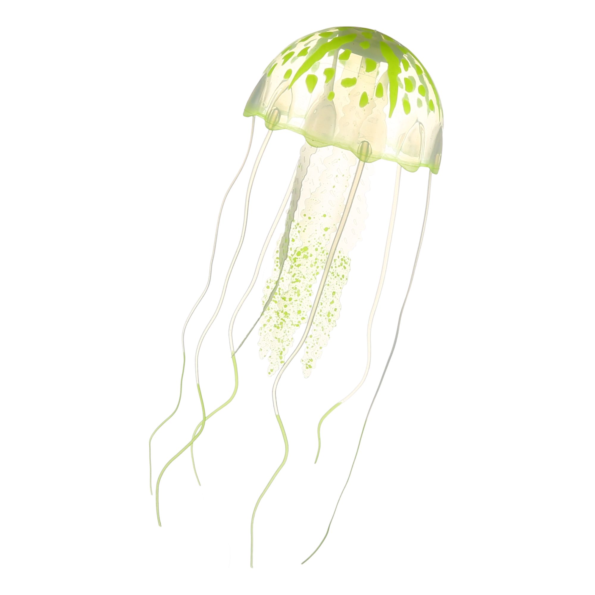 Медуза живая купить. Медуза Живая. Медуза картинка. Медузы зеленоватого оттенка. Фигурка медуза  животное.