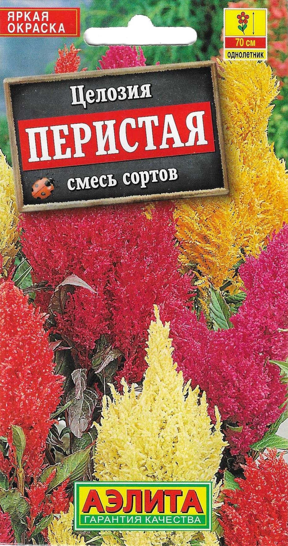 Целозия перистая