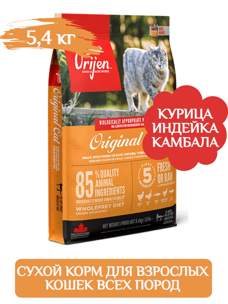 Корм Для Котят Orijen Купить