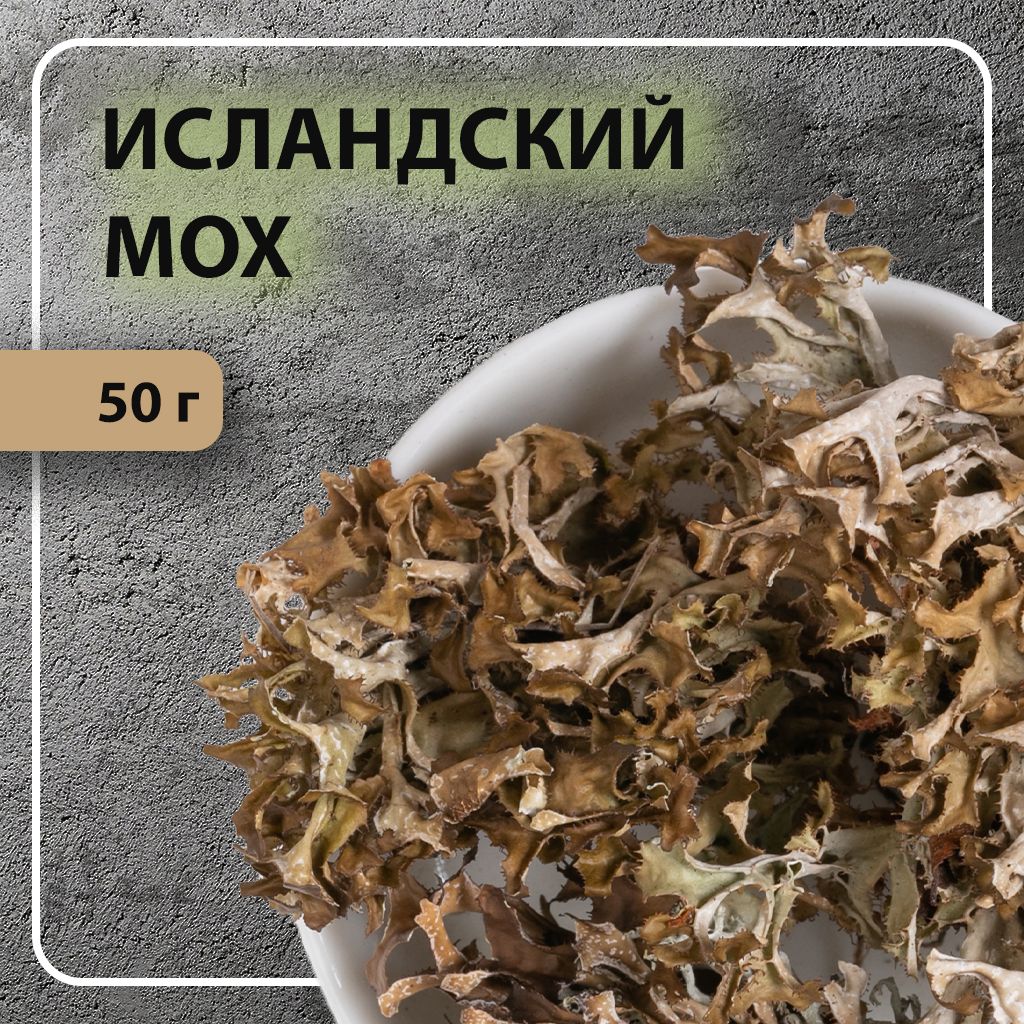 Мох Исландский – купить в интернет-магазине OZON по низкой цене