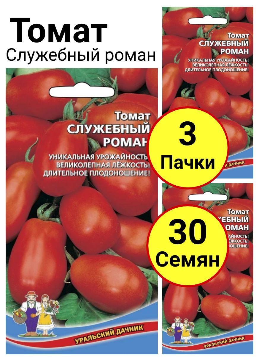 Томат служебный роман отзывы фото