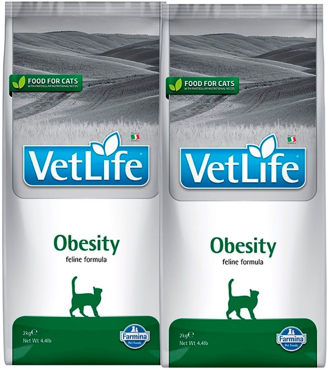 Farmina vet life cat struvite 400 гр. Vet life корм для кошек. Farmina vet life renal. Farmina renal для кошек. Farmina vet life renal.