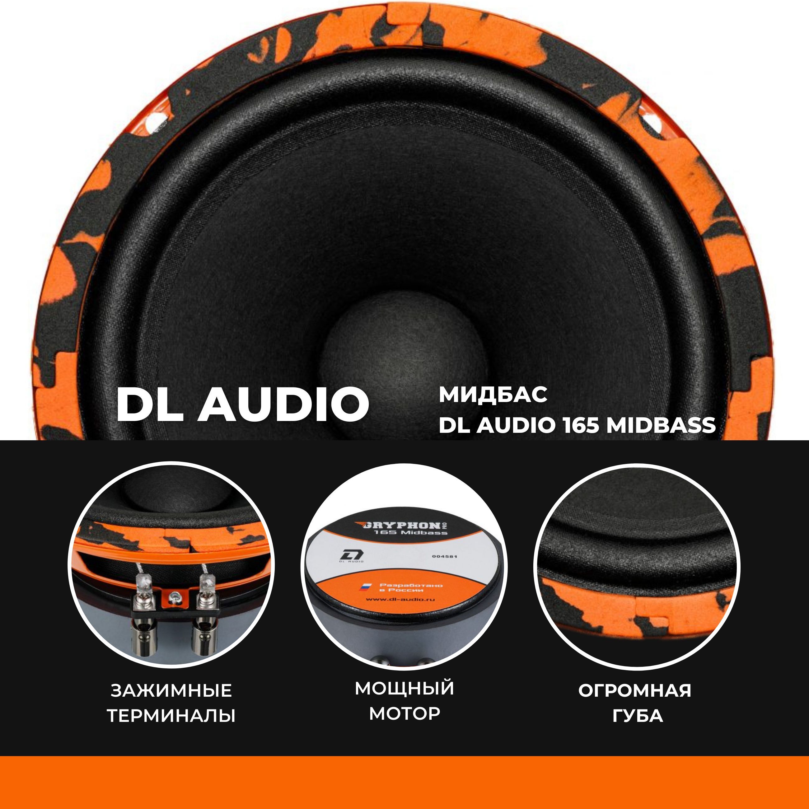 Колонки DL Audio Gryphon Pro 165 Midbass - купить по выгодной цене в  интернет-магазине OZON, гарантия 2 года (896993933)