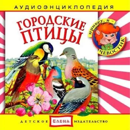 Городские птицы | Детское издательство Елена | Электронная аудиокнига