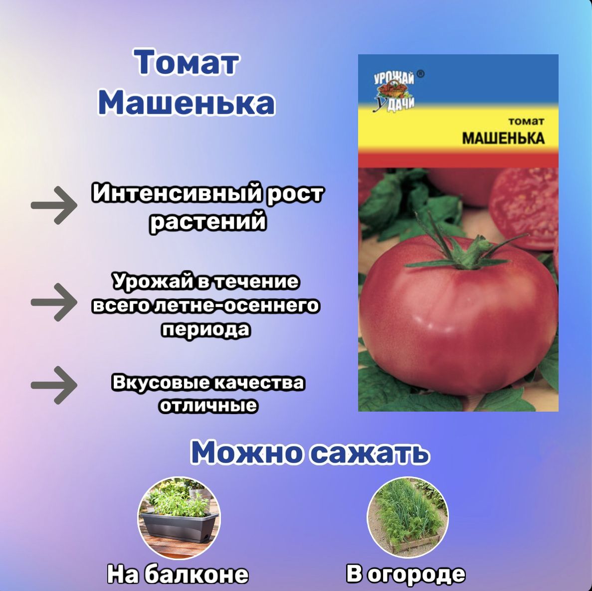 Помидоры дубок описание сорта фото отзывы. Томат Андромеда. Томат Дубок. Многолетние томаты.