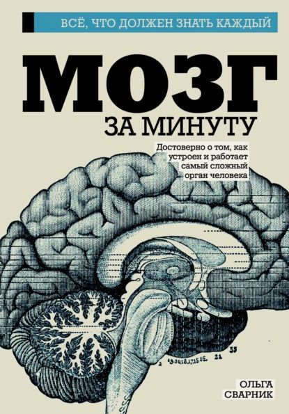 Мозг за минуту | Сварник Ольга Евгеньевна | Электронная книга