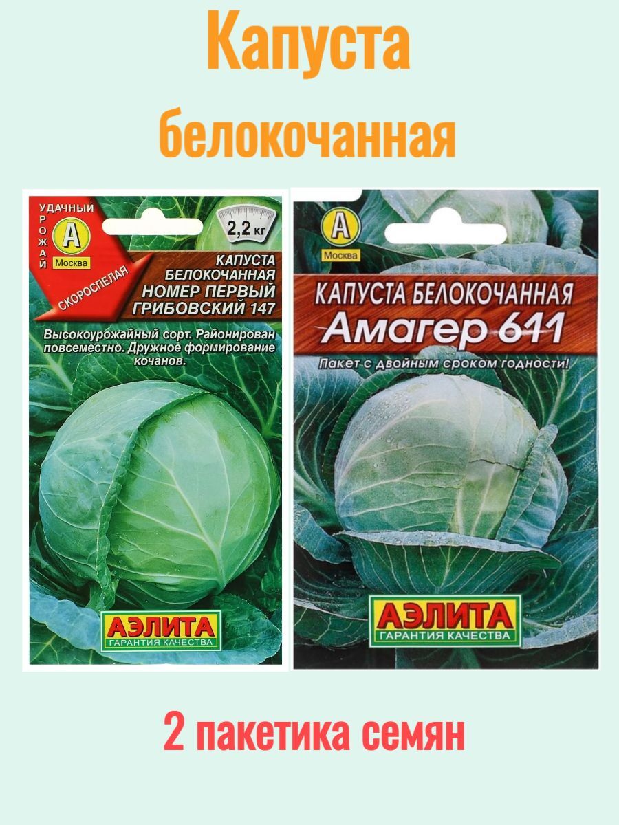 Капуста Капуста1_Амагер 611 и Номер Первый Грибовский 147 51554 - купить по выго