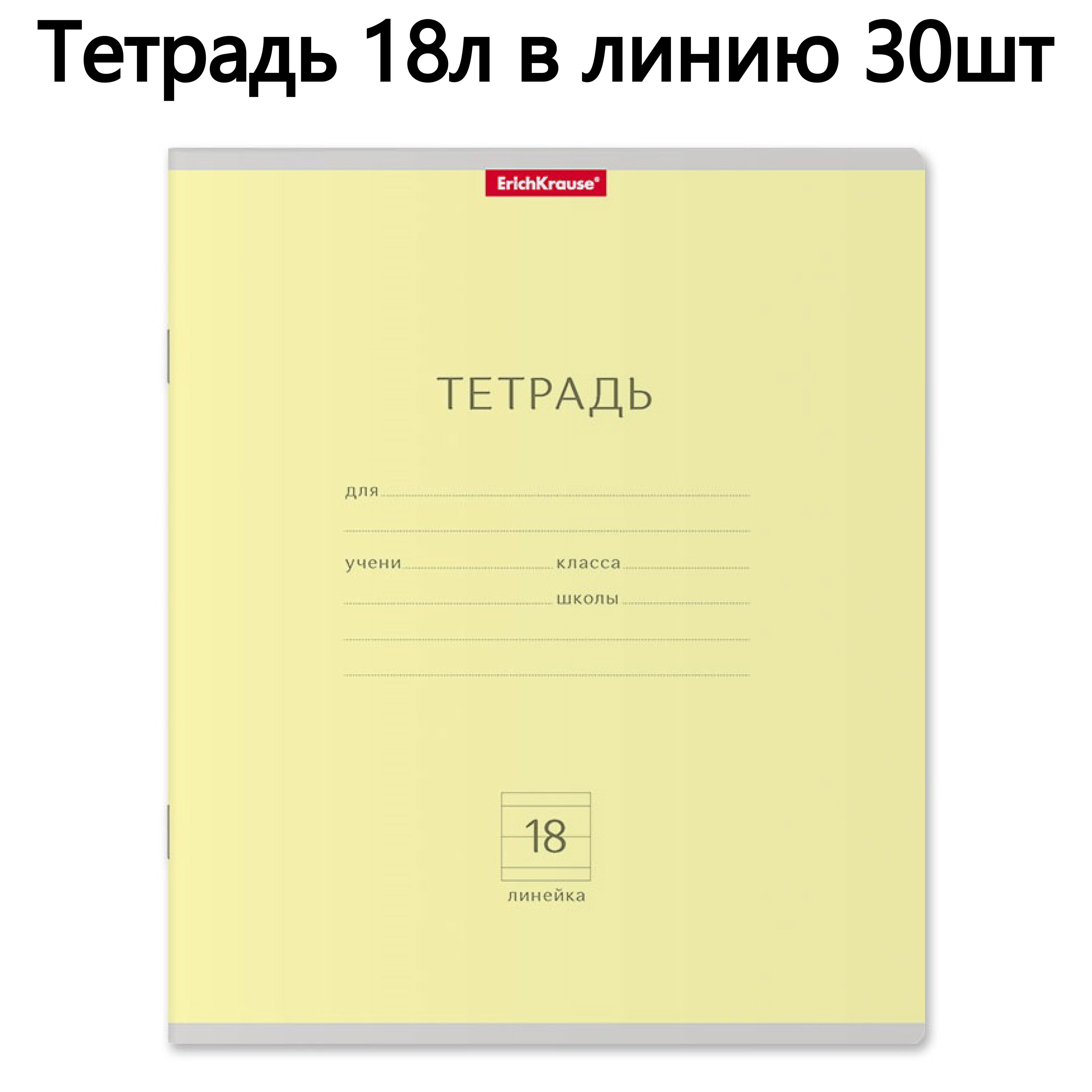 Тетрадь ErichKrause A5 (14.8 × 21 см), 30 шт., листов: 18 - купить с  доставкой по выгодным ценам в интернет-магазине OZON (174571632)