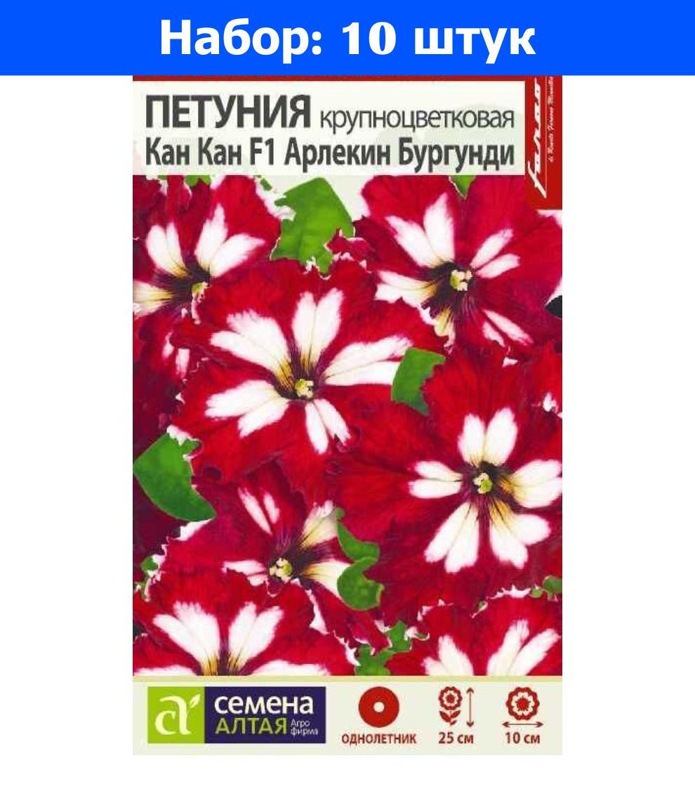 Петуния арлекин черри роуз. Петуния Кан Кан Арлекин бургунди. Петуния Арлекин бургунди f1.