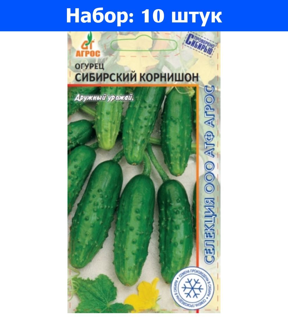 Огурцы Артист Отзывы Фото
