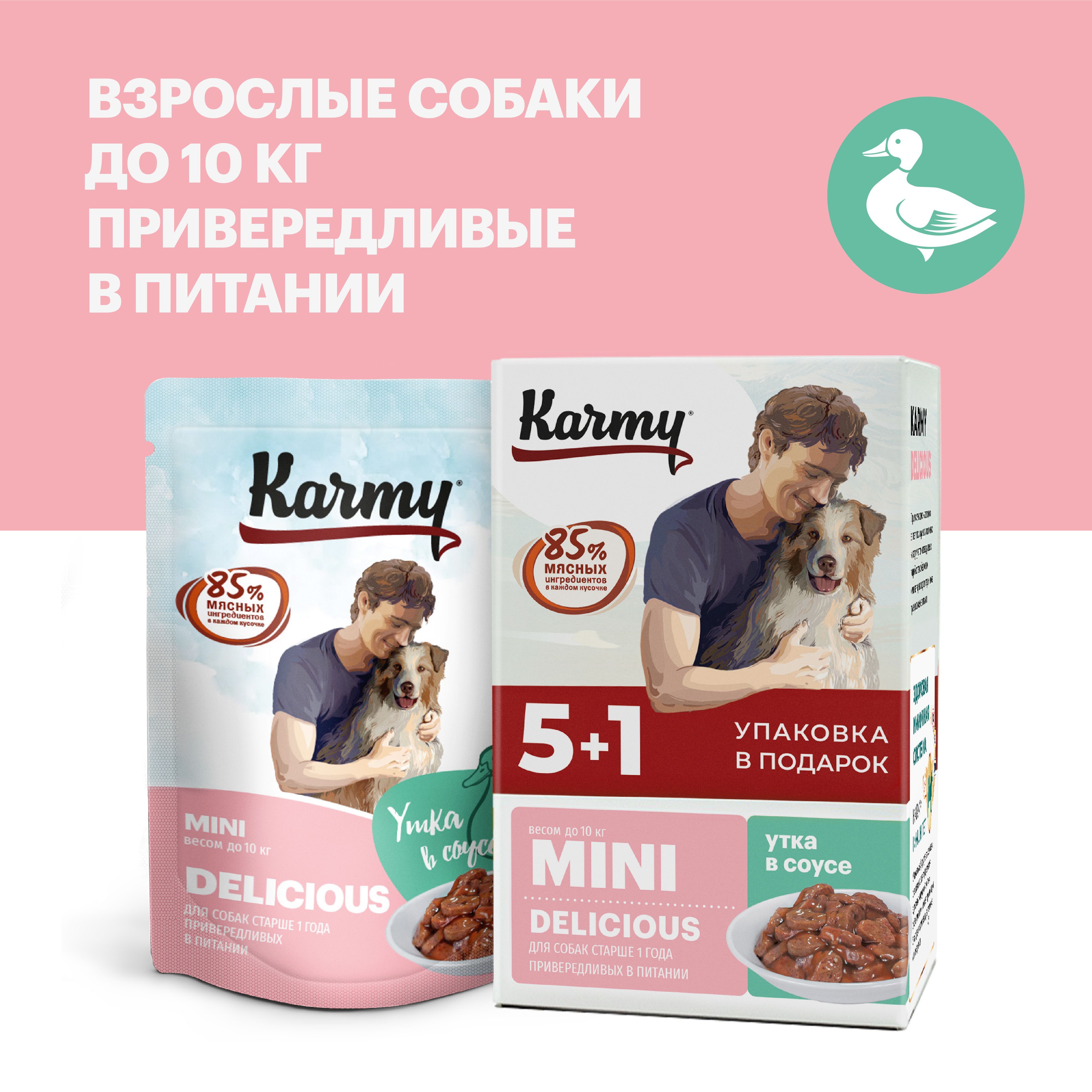 Корм Karmy Купить Спб