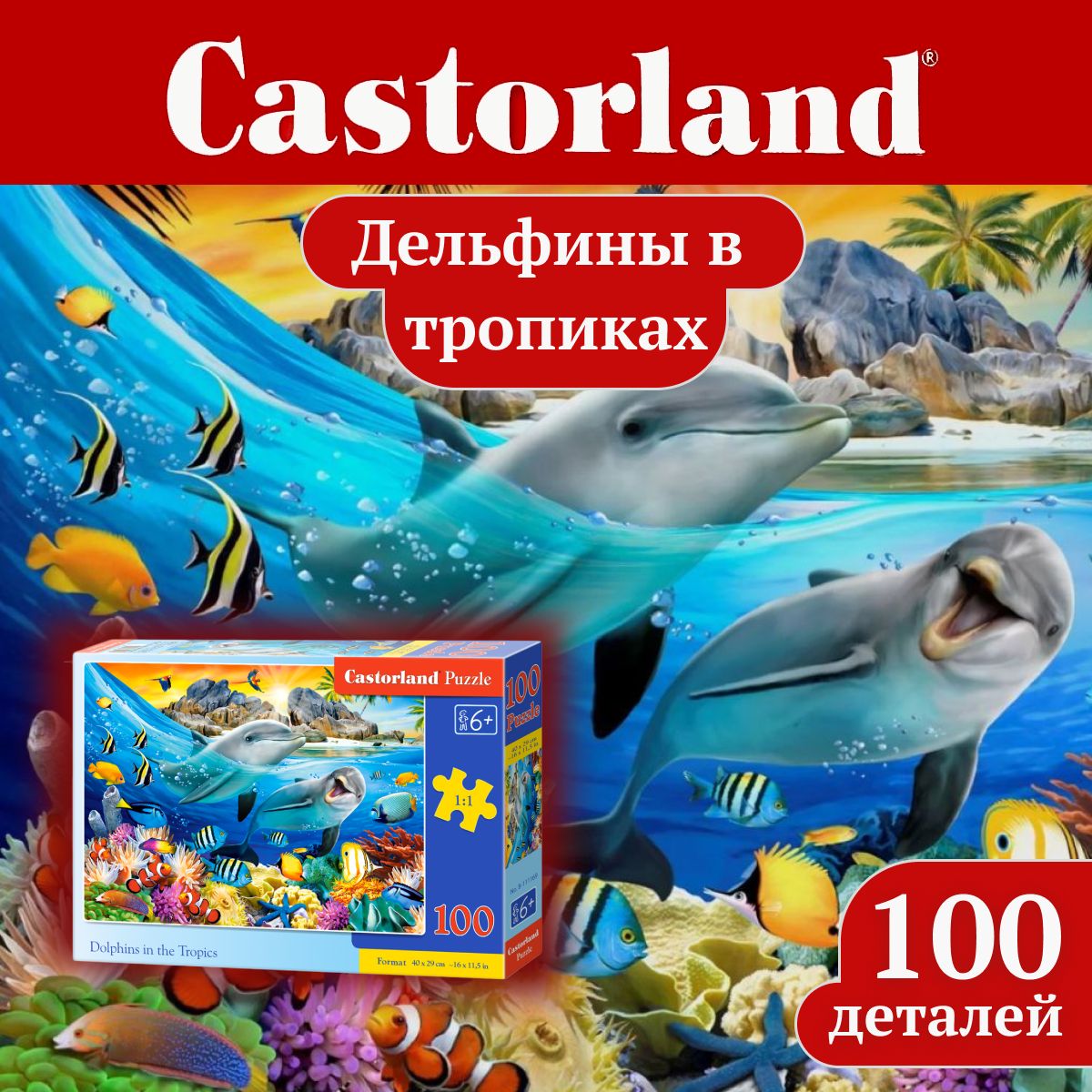 Пазл Castorland Дельфины в тропиках 100 элементов