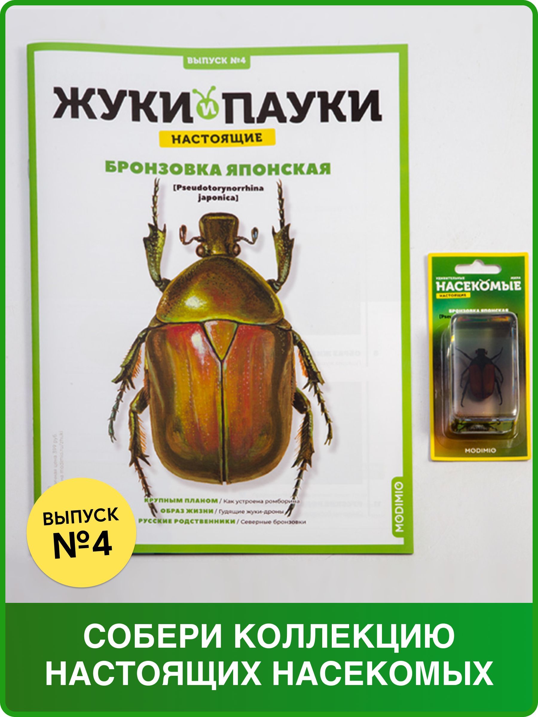 Жуки и пауки, Выпуск №4, Бронзовка японская - купить с доставкой по  выгодным ценам в интернет-магазине OZON (269901471)