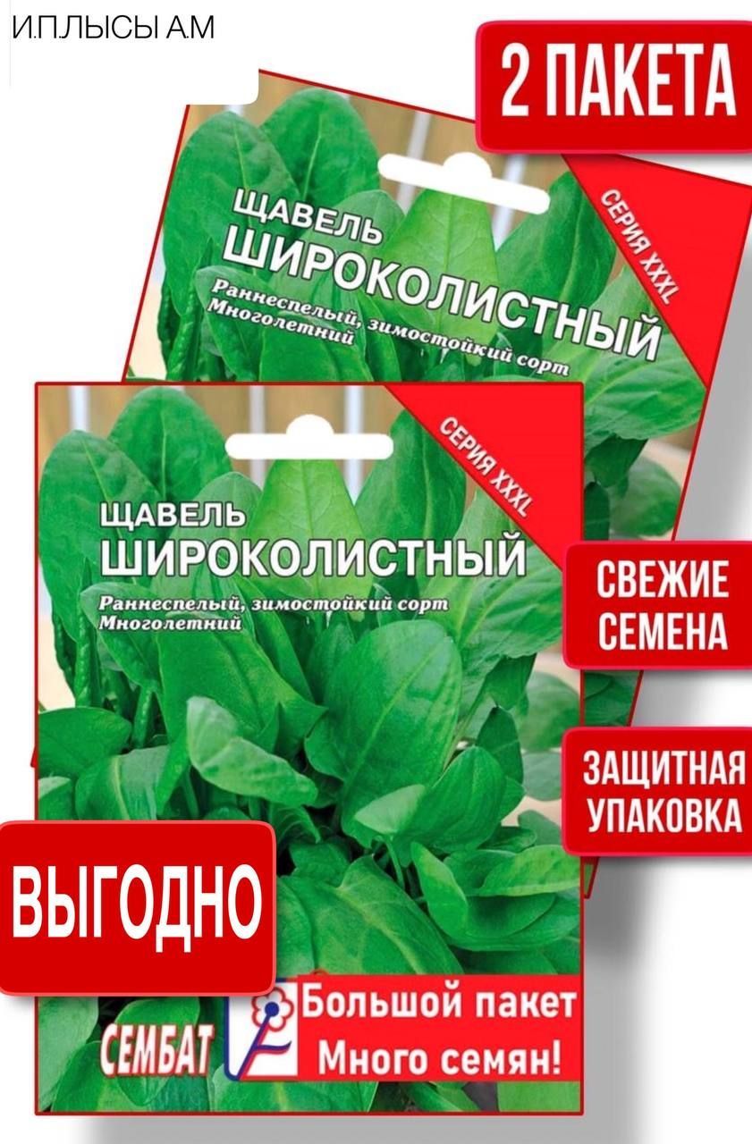 Сембат Щавель Широколистный - купить по выгодным ценам в интернет-магазинеOZON (1072628837)