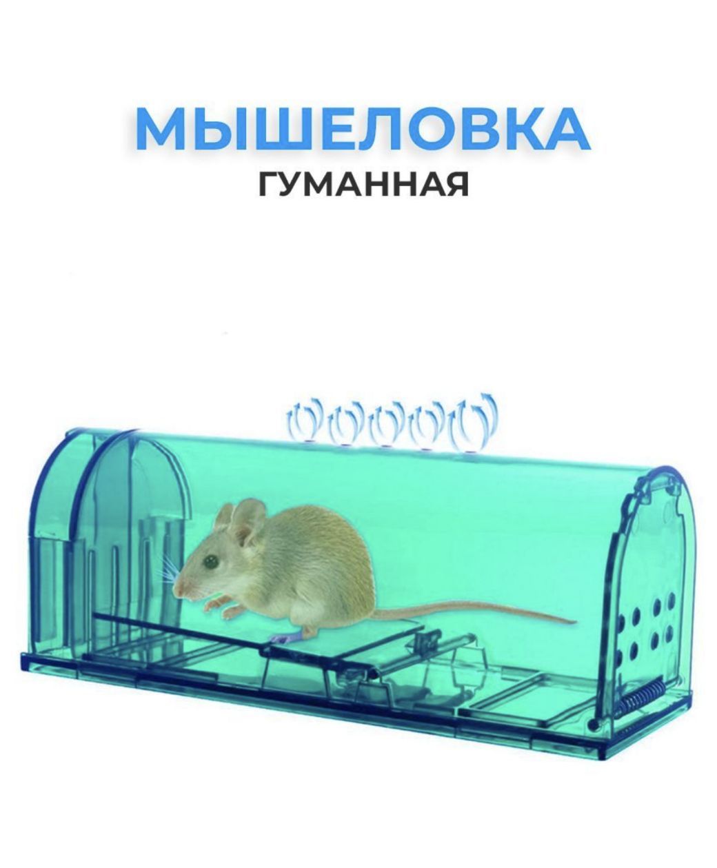 Мышь в мышеловке арт - 50 фото