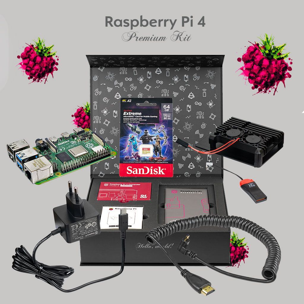 Микрокомпьютер Raspberry Pi Pi 4 - Premium Kit - купить по низким ценам в  интернет-магазине OZON (1109141406)