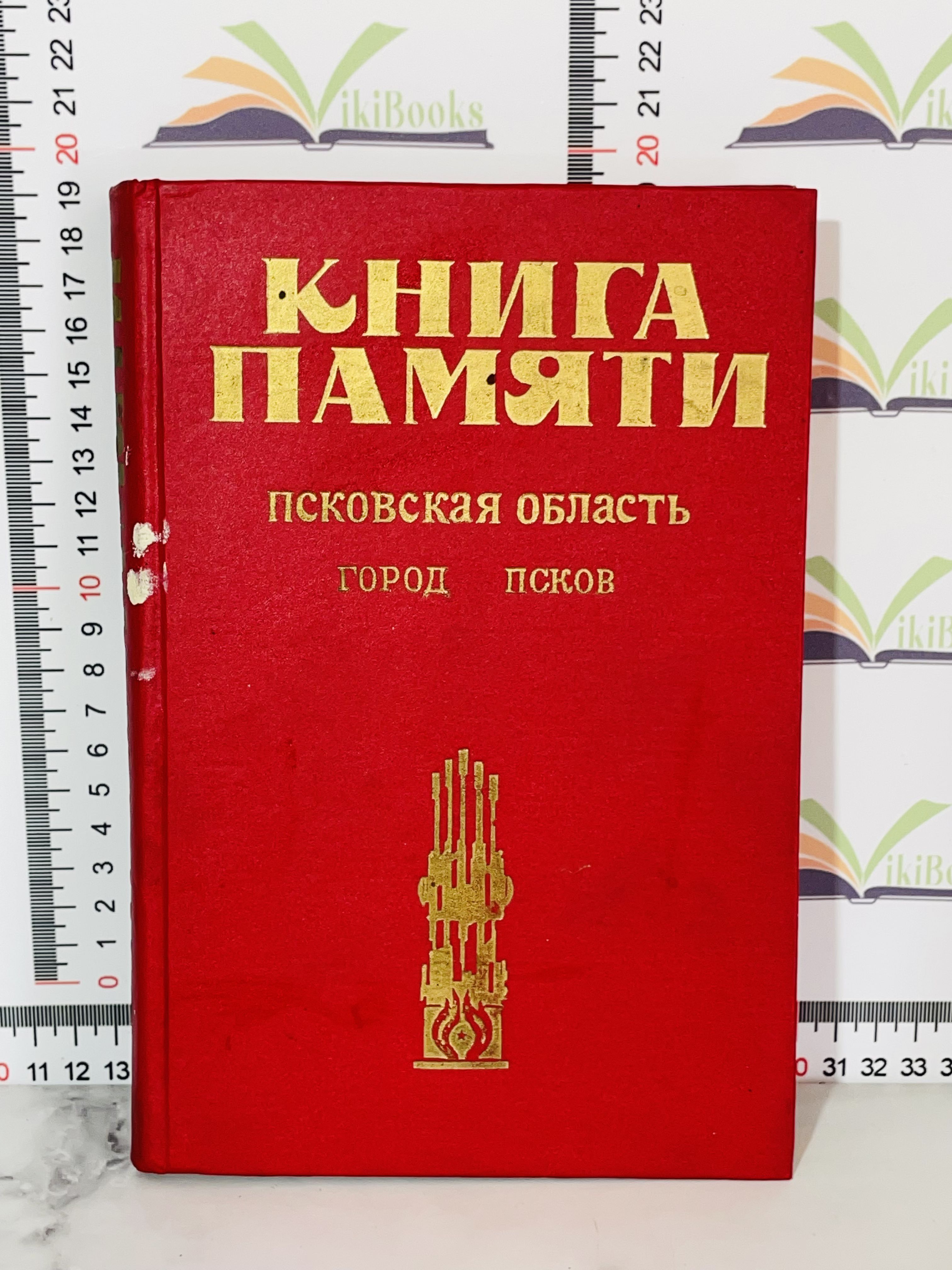 Книга памяти. Псковская область. Город Псков. - купить с доставкой по  выгодным ценам в интернет-магазине OZON (1118984695)