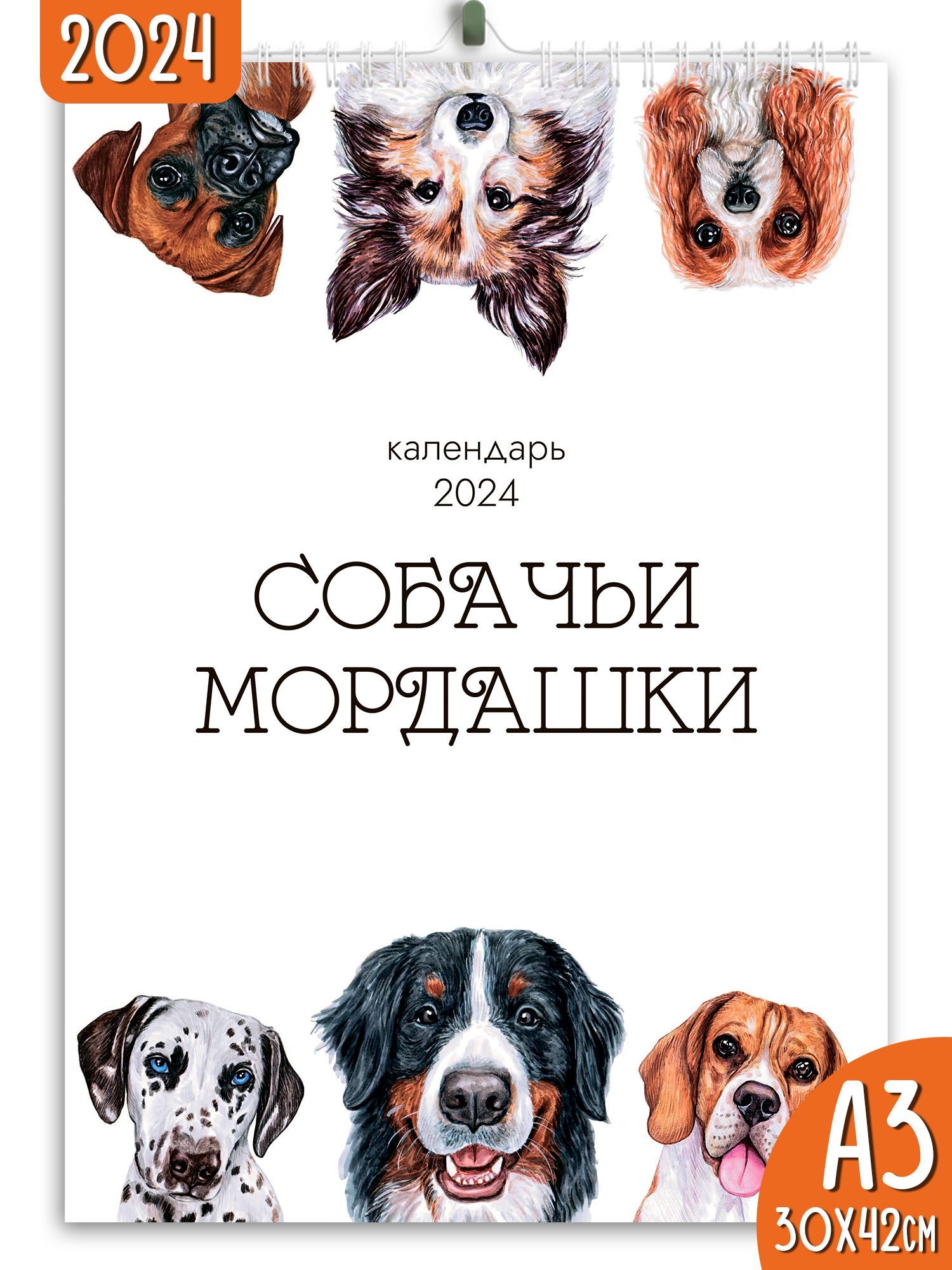День собак в 2024 году. Модные собаки 2024. Топ 5 популярных собак в 2024 году. Календарь собаки 2024 и 2025. Когда день собак 2024.