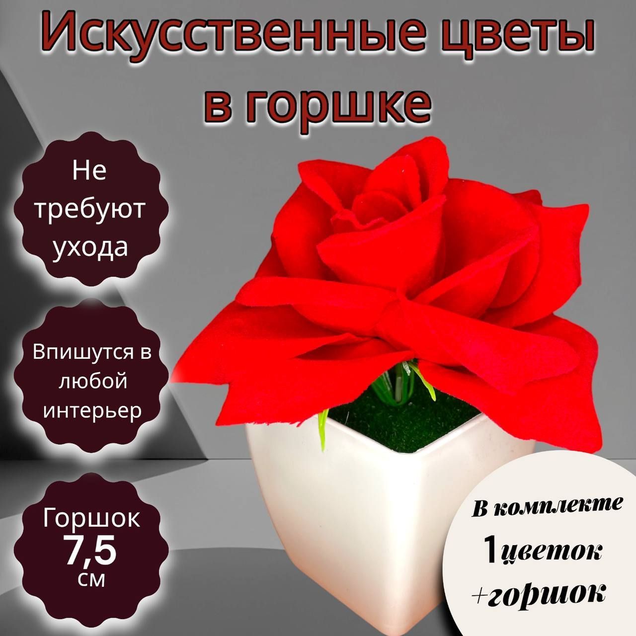 Роза Живая В Горшке Купить Казань