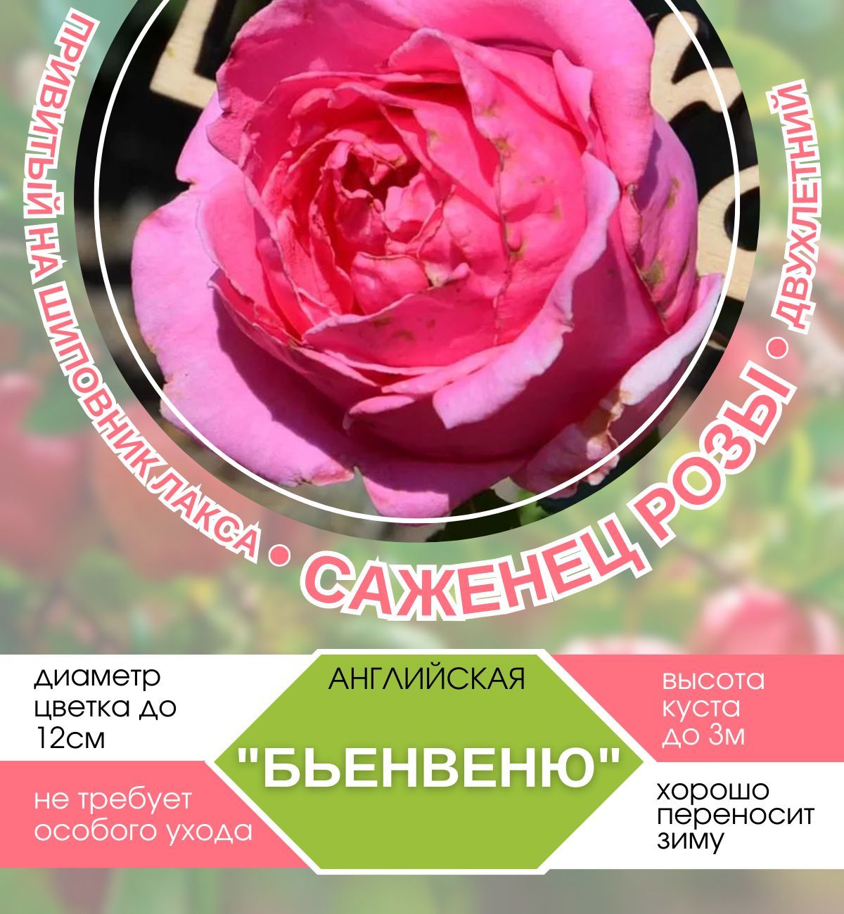 Цветок большого размера