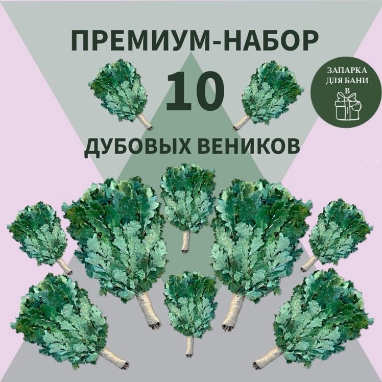 Веники.шоп Веник для бани Дубовый, 10 шт. 