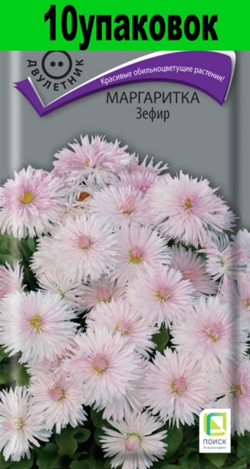 Маргаритки Семена Купить