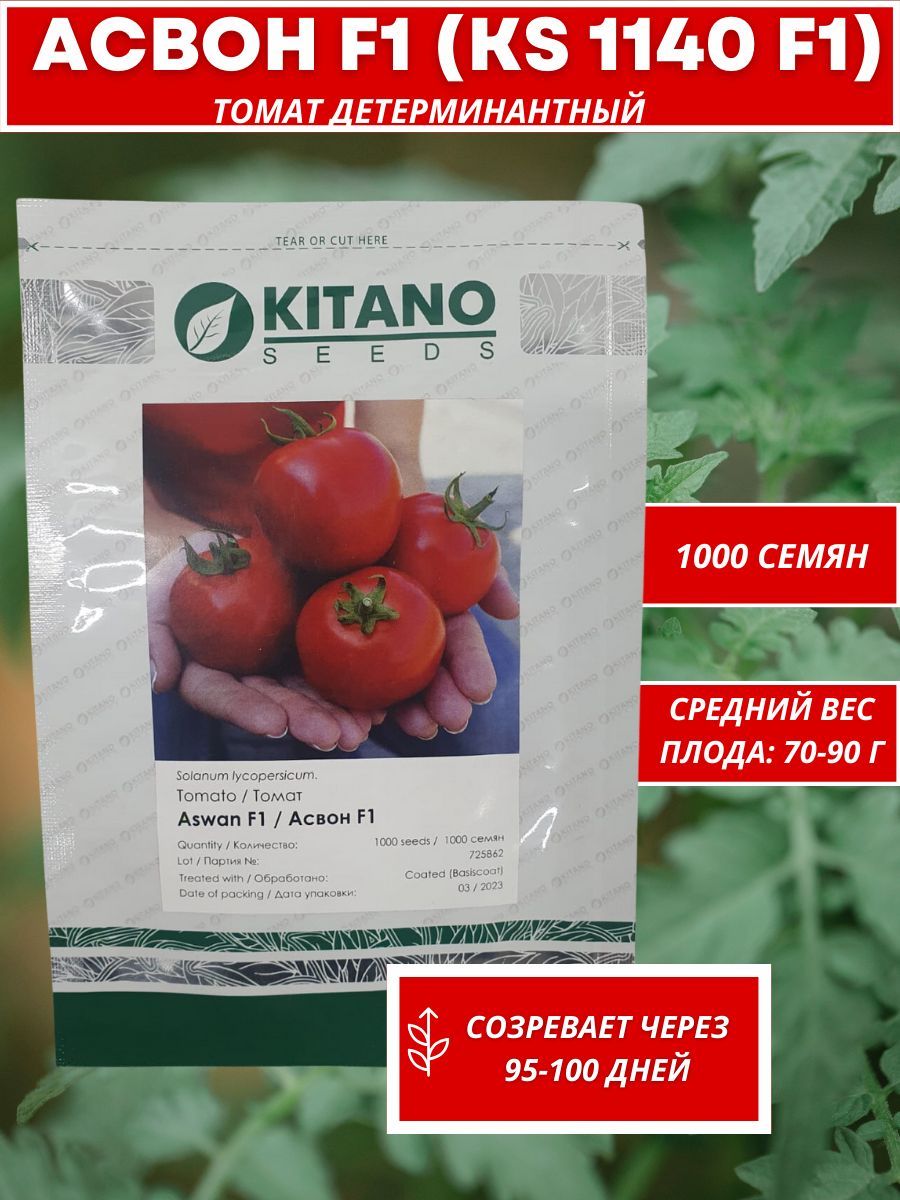 Помидор асвон описание. Томат асвон характеристика и описание. Томат асвон характеристика и описание. Асвон томат характеристика. Томат асвон характеристика и описание.