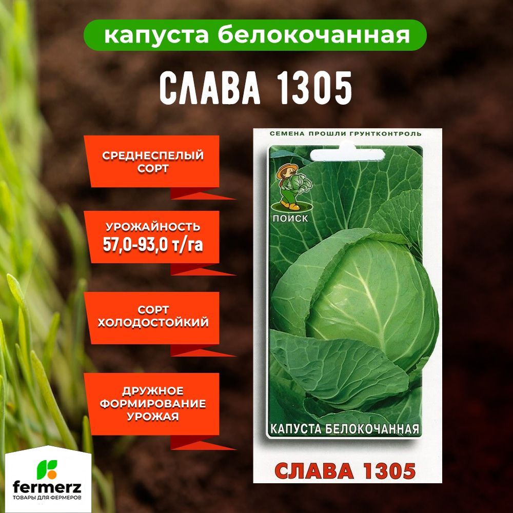 Капуста слава 1305 описание сорта фото отзывы Отзывы о белокочанной капусте АЭЛИТА Слава 1305 Ор. А Ср, 0,5г 00-00569074. Чита