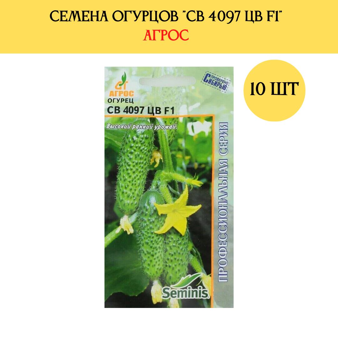 Семена огурцов св. Семена огурцов св