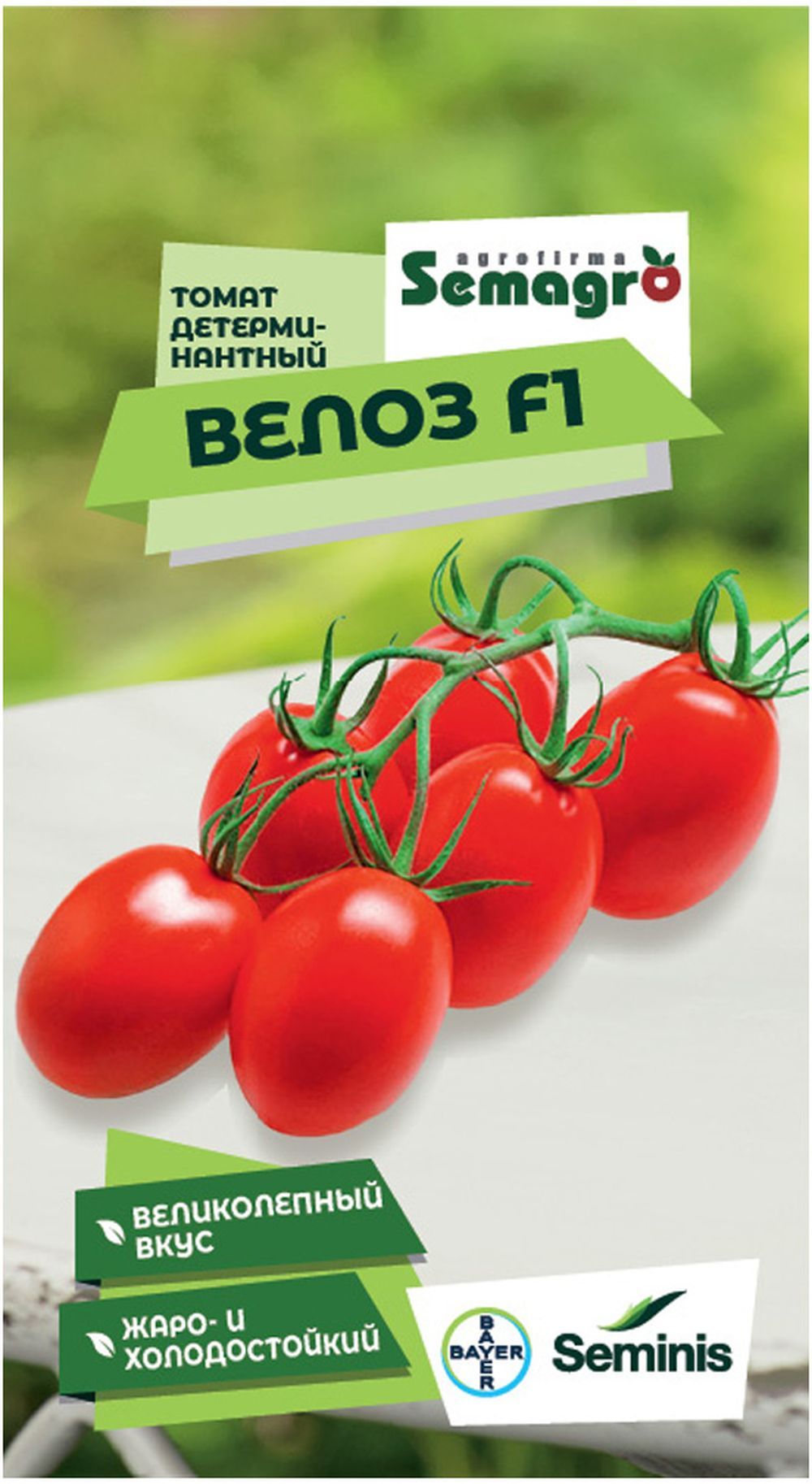 Мерлен семена томатов. Томат Велоз f1 описание и отзывы. Томаты Велоз f1 отзывы.