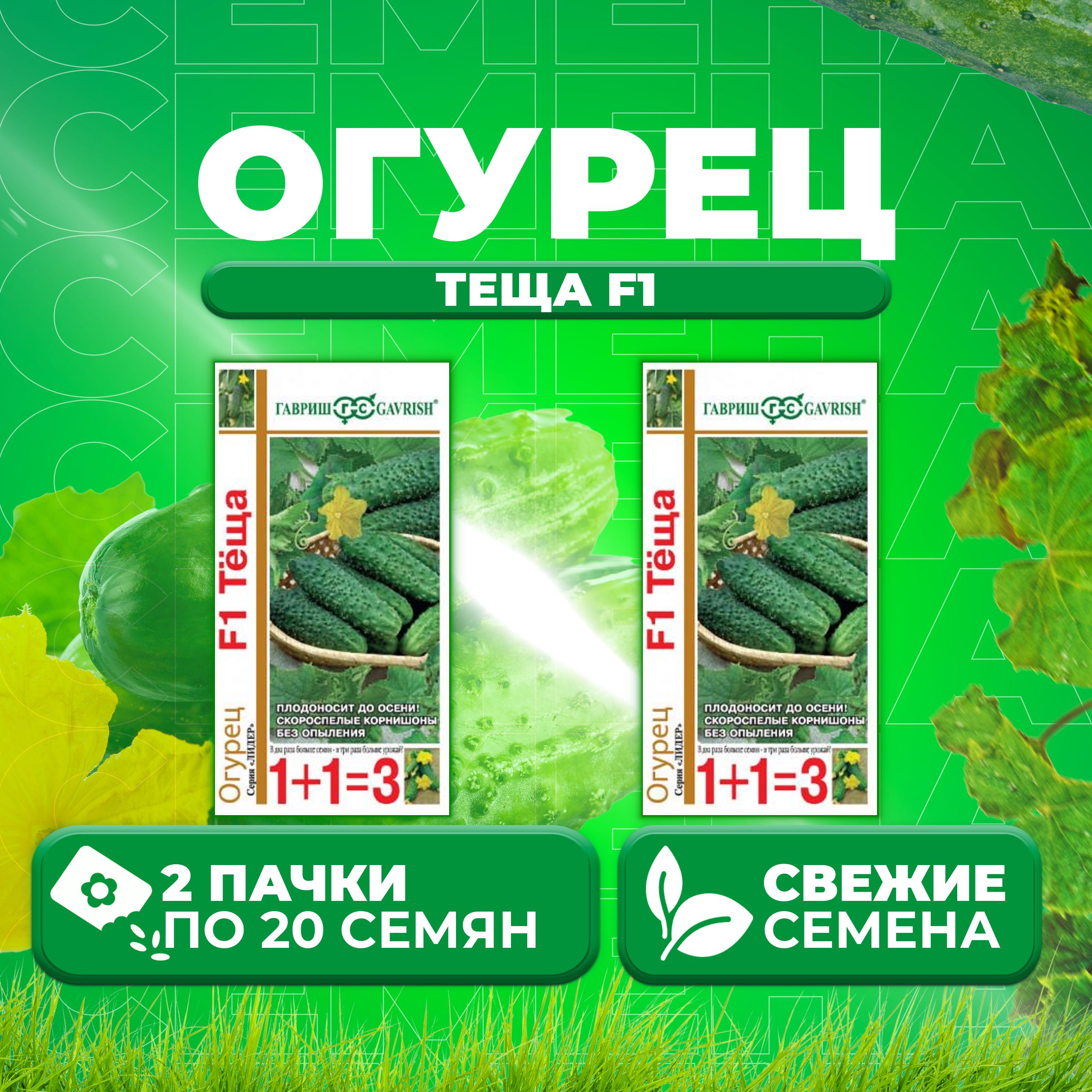 Огурцы Теща Отзывы Фото