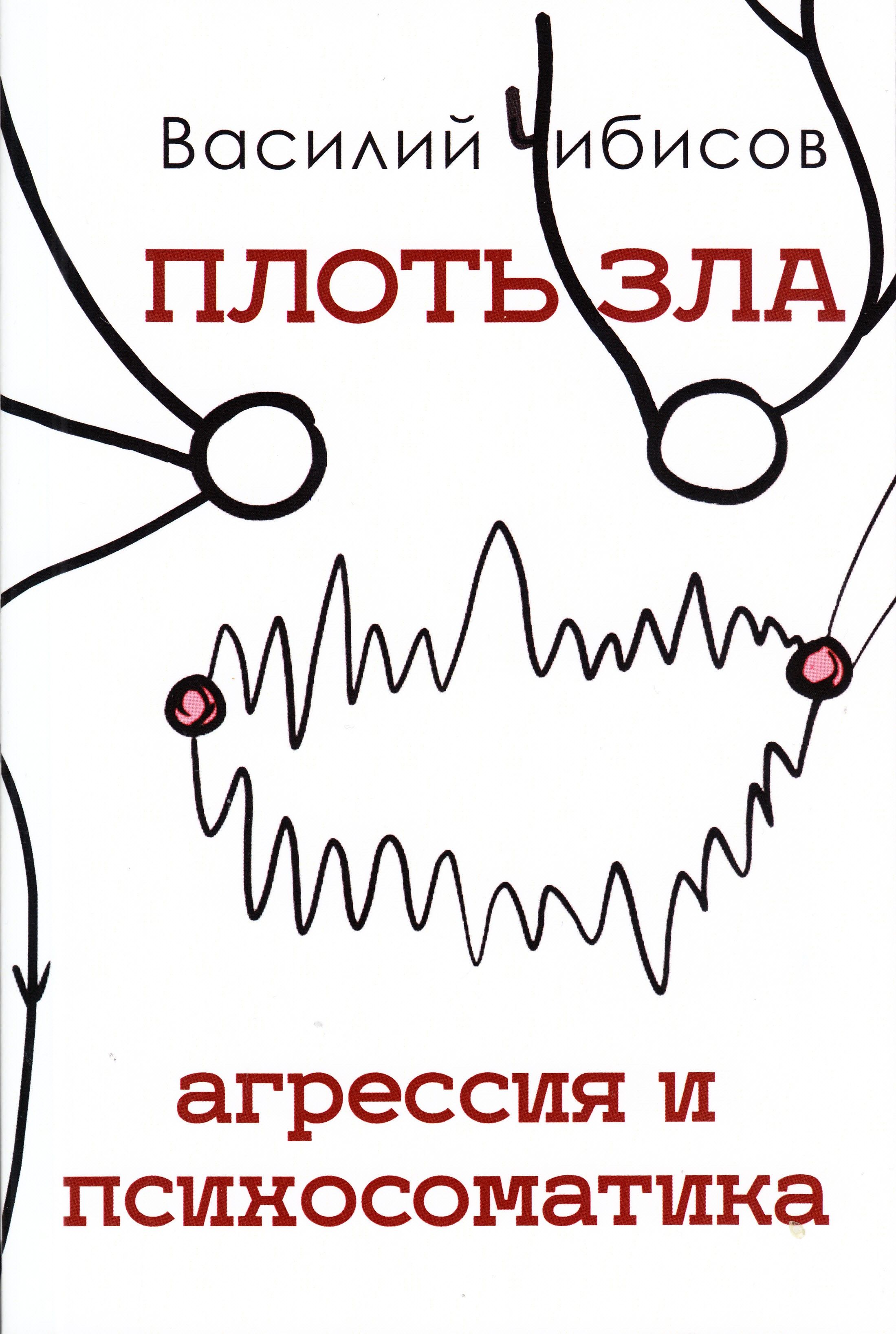 Плоть зла. Агрессия и психосоматика | Чибисов Василий Васильевич