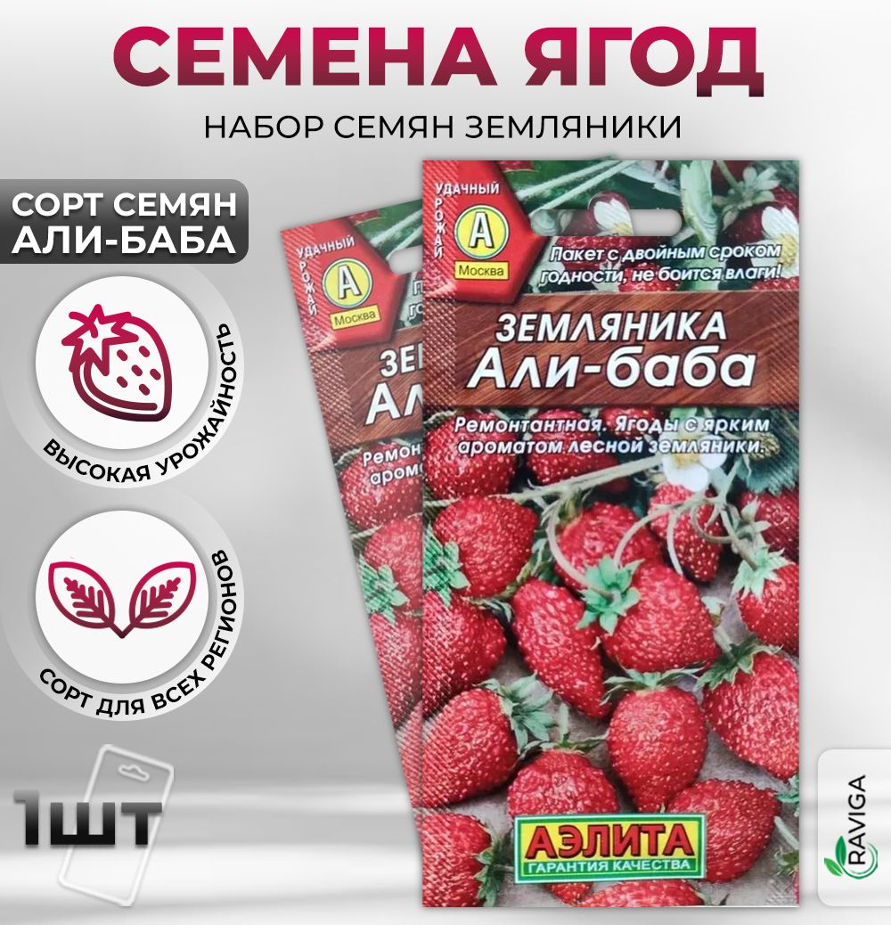 Семена Клубники Азия Купить Интернет Магазин