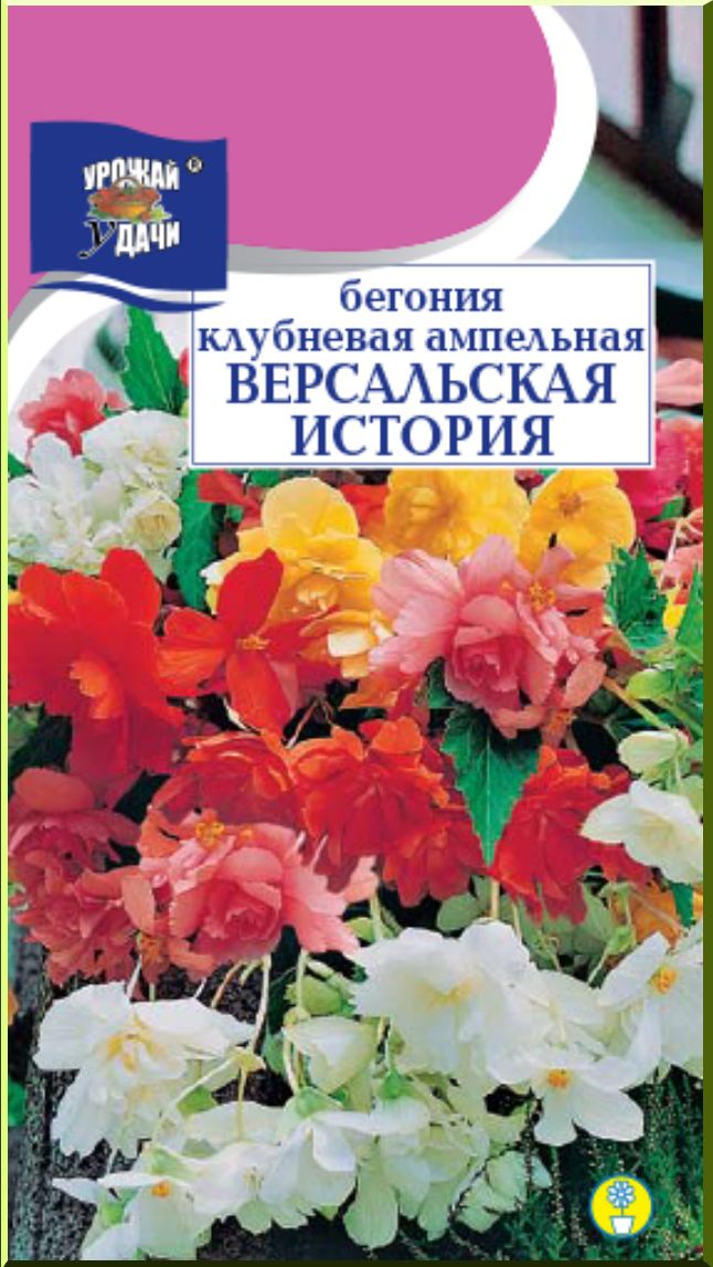 БегонияклубневаяампельнаяВЕРСАЛЬСКАЯИСТОРИЯсмесь(СеменаУРОЖАЙУДАЧИ,10штуксемянвупаковке)