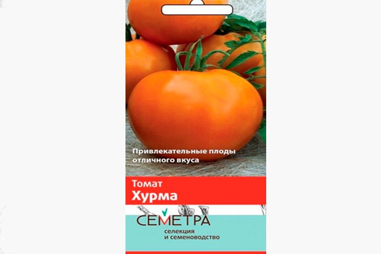 Томаты Хурма Описание Фото Отзывы