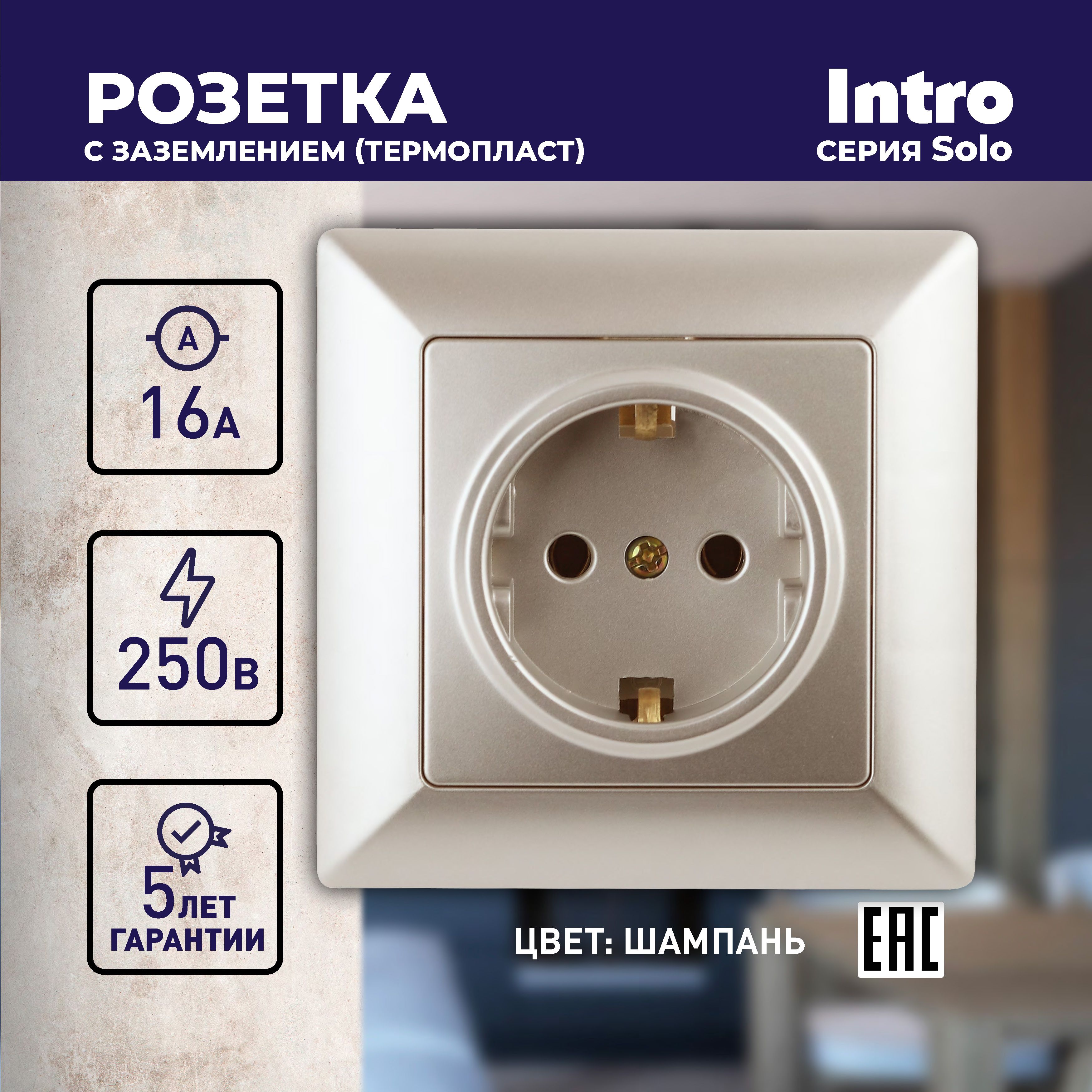 РозеткаIntroSolo4-202-04сзаземлением2P+ESchuko16А-250ВIP20скрытойустановкишампань