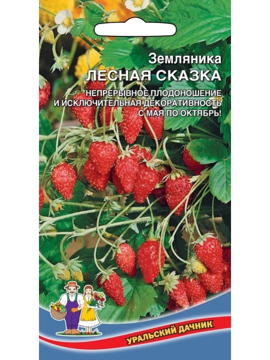 Земляника Лесная Семена Купить