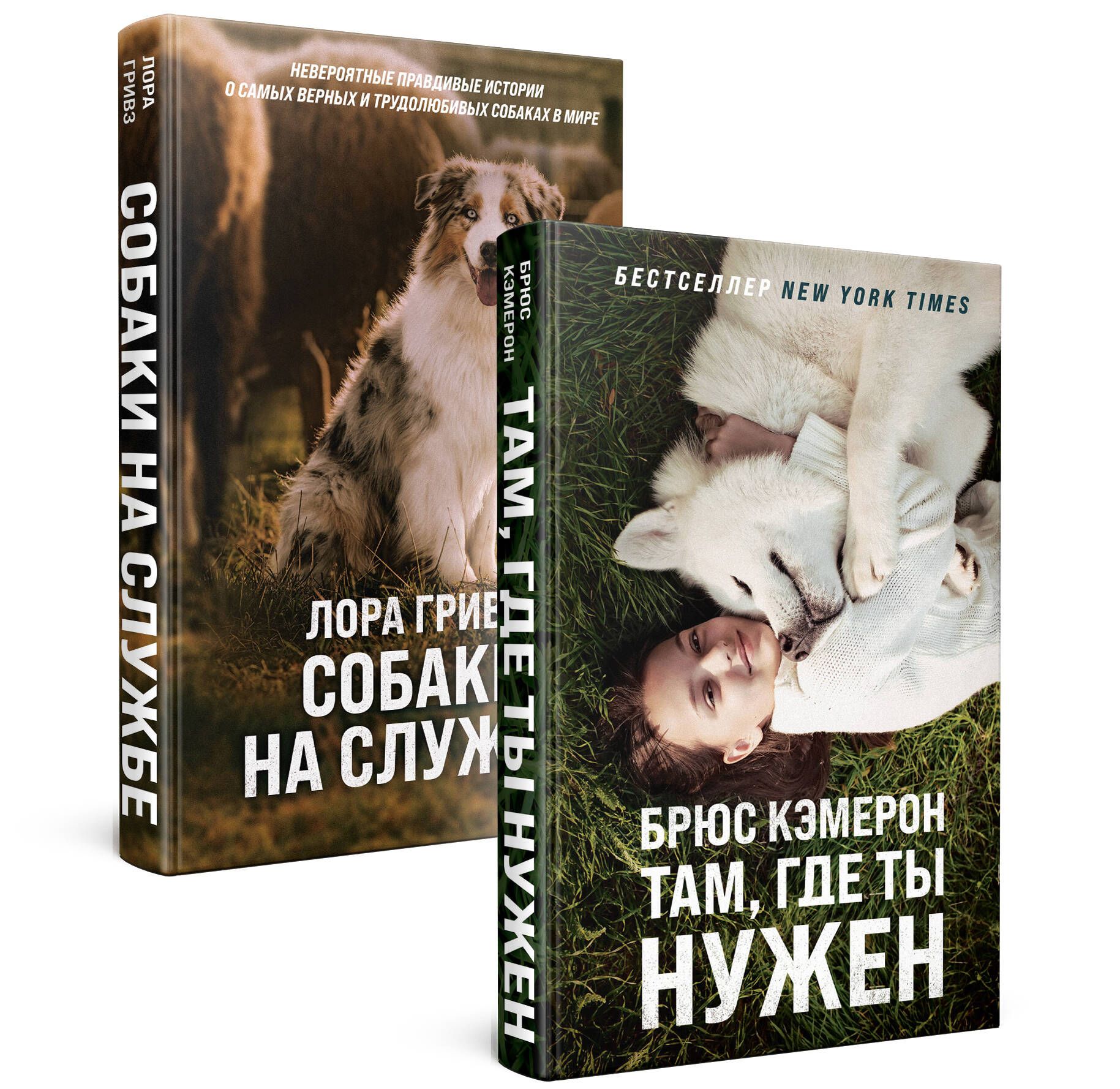 Комплект из 2-х книг. Самый верный друг ( 