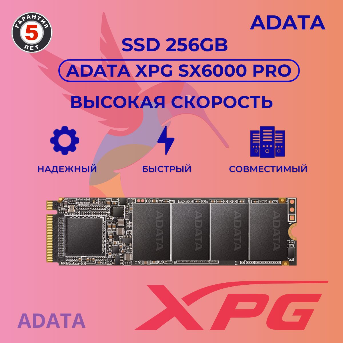 AdataXpgSx6000Pro