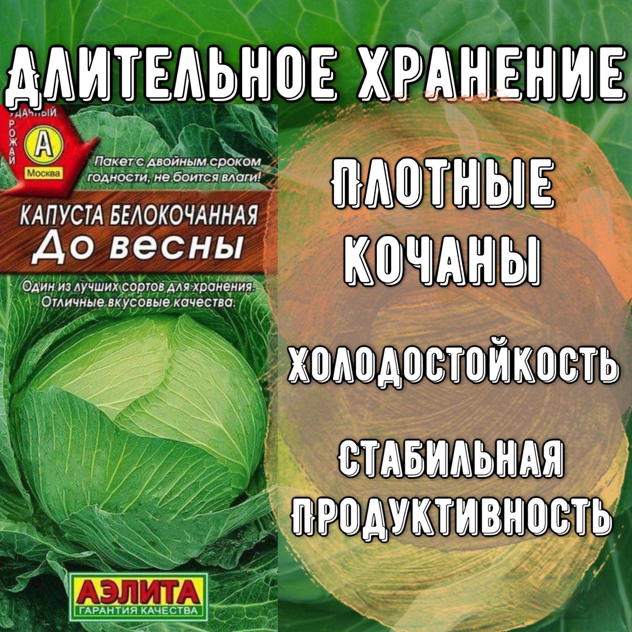 Хранение капусты белокочанной