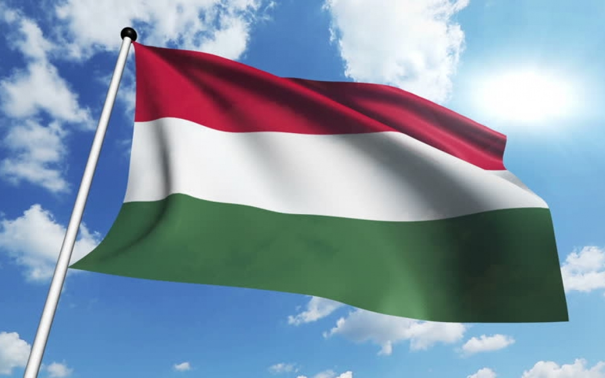 Как выглядит флаг венгрии фото