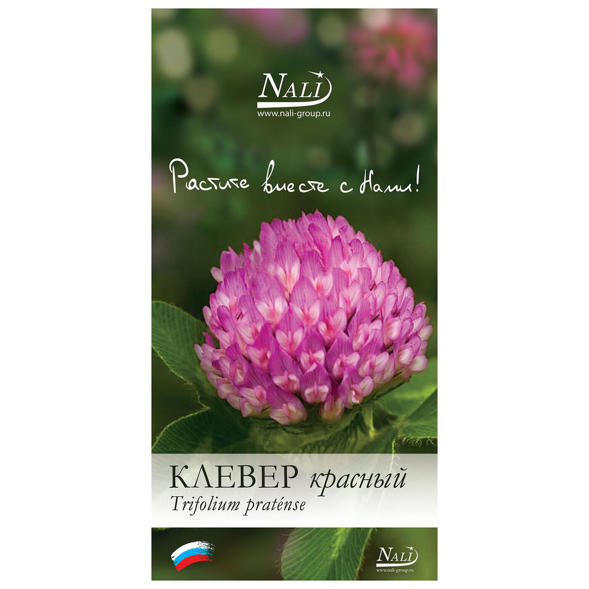 Магазин Семян Клевер