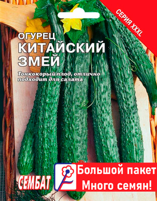 Декоративные разные, Васильки однолетние Дом семян Василёк Блу Медальон ...