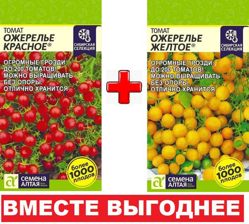 Выращивание томатов - 15 сортов. Мой опыт и отзывы. 8 соток в Сибири Дзен