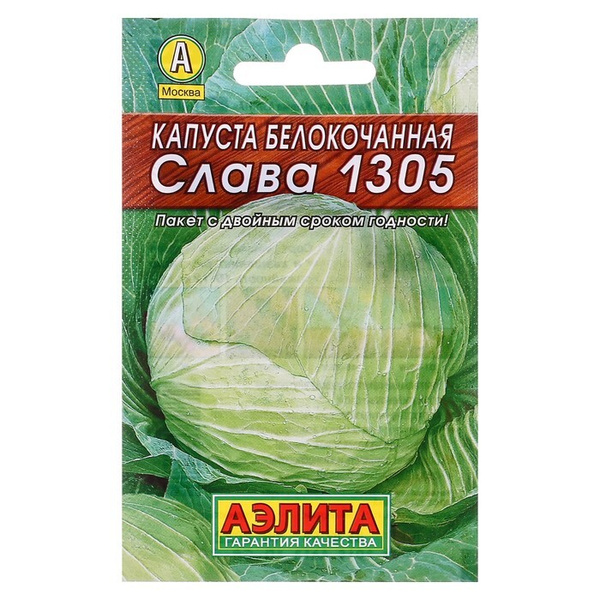 Капуста слава 1305 описание сорта фото отзывы