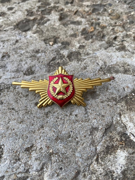 Парадный знак Мотострелковых войск, Сухопутные войска - купить с ...