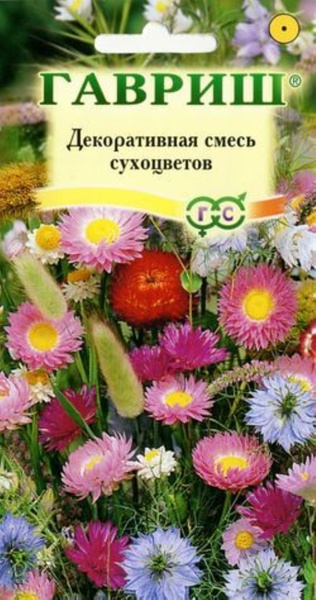 Сухоцветы семена название и фото цветов