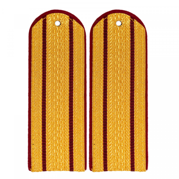 Вопросы и ответы о Погоны ФСИН парадные (цв. Золото) (кругл.) 2 ...