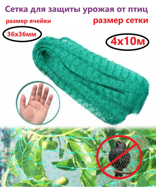 Сетка для защиты урожая от птиц 4х10 м - купить с доставкой по выгодным ...