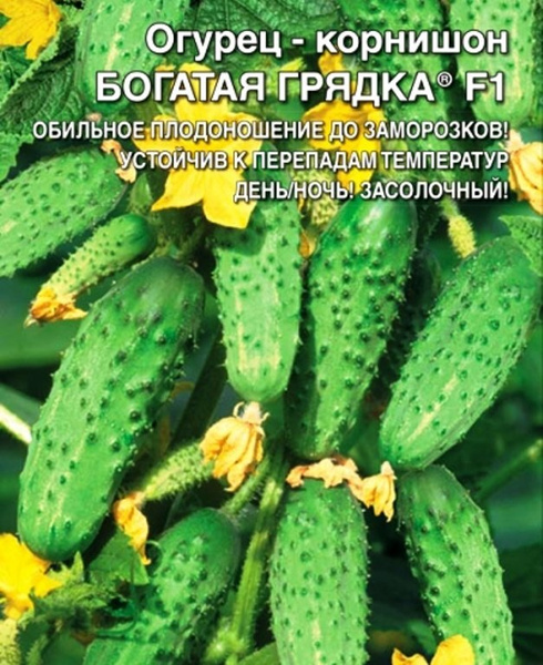 Семена Огурцы Уральский Дачник Купить